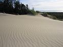 Oregon Dunes (10)
